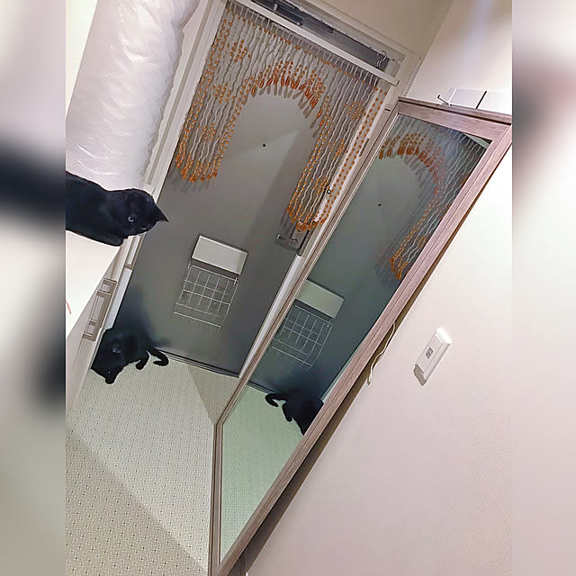 aimeiさんの実例写真
