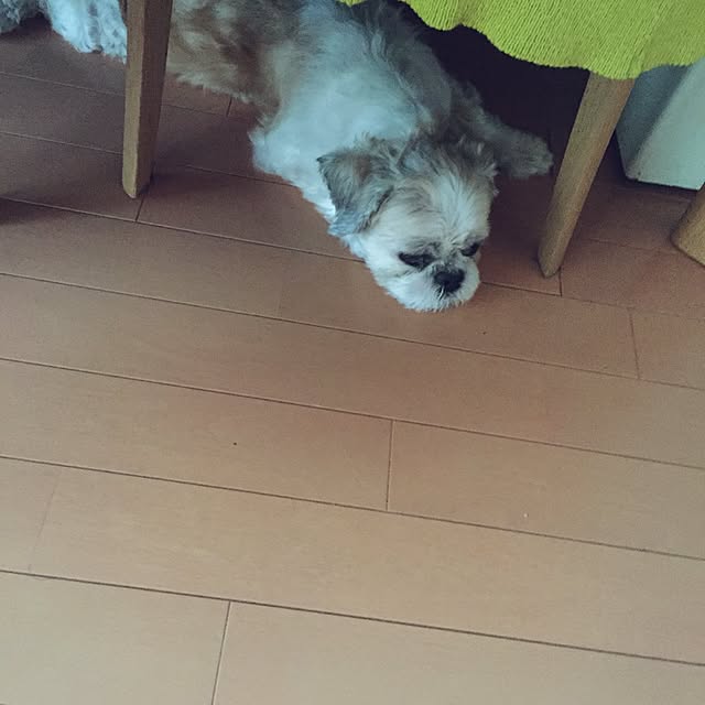 机のインテリア実例 - 2015-07-13 12:16:47