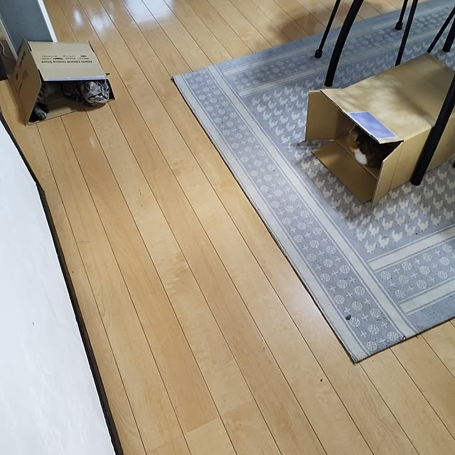 hiro3さんの部屋