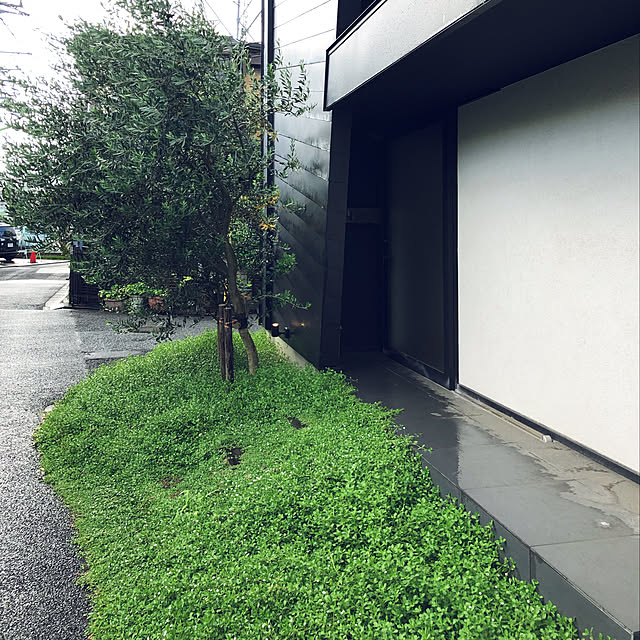 Yoshiさんの実例写真