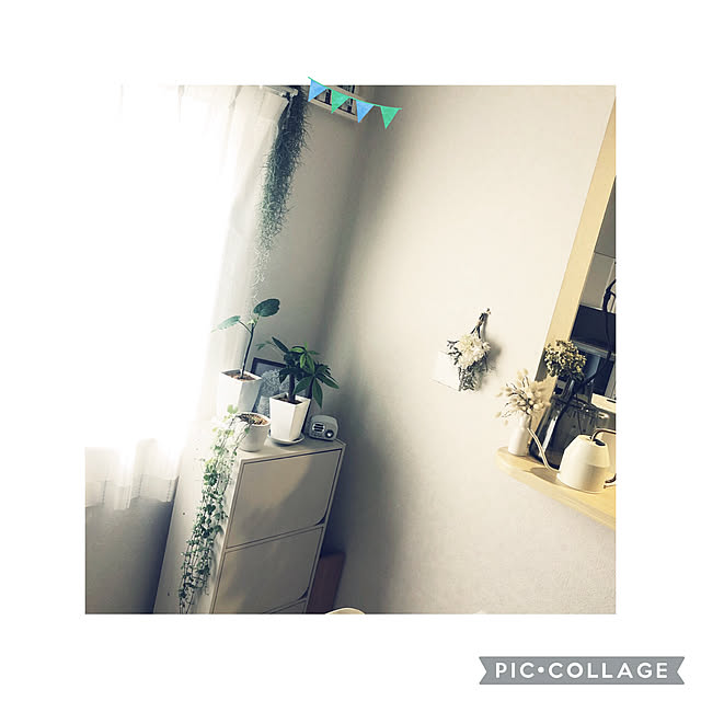yuyuさんの実例写真