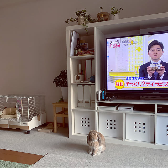 yumehaさんの実例写真