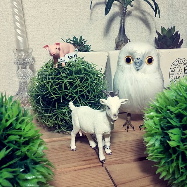 dezさんの実例写真
