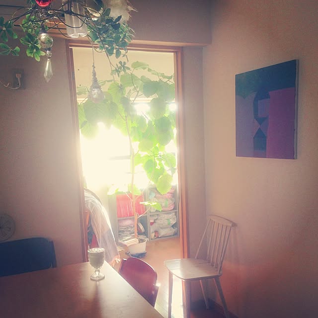 cicaさんの実例写真