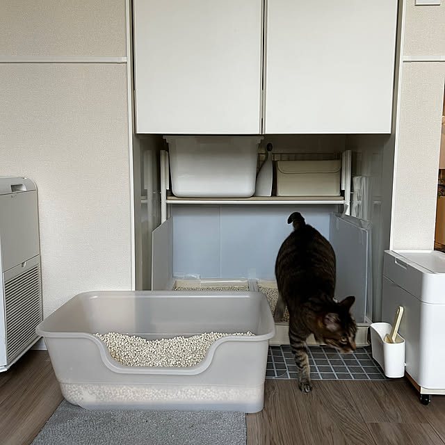 mikomaruさんの部屋