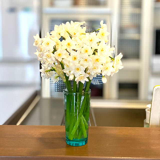 キッチン/高校合格おめでとう♥/スイセン増殖中/今日のキッチンフラワー/すいせんの花のインテリア実例 - 2025-04-12 08:33:44