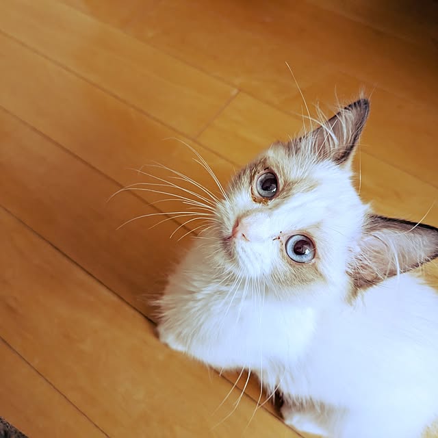 TOMさんの実例写真