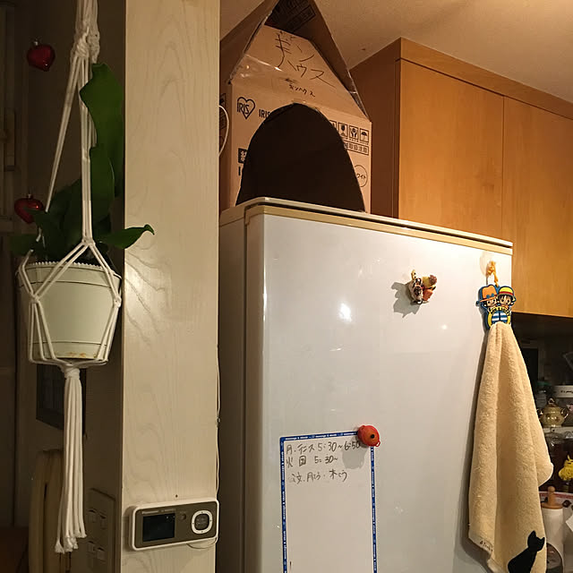 kou-kitiさんの実例写真