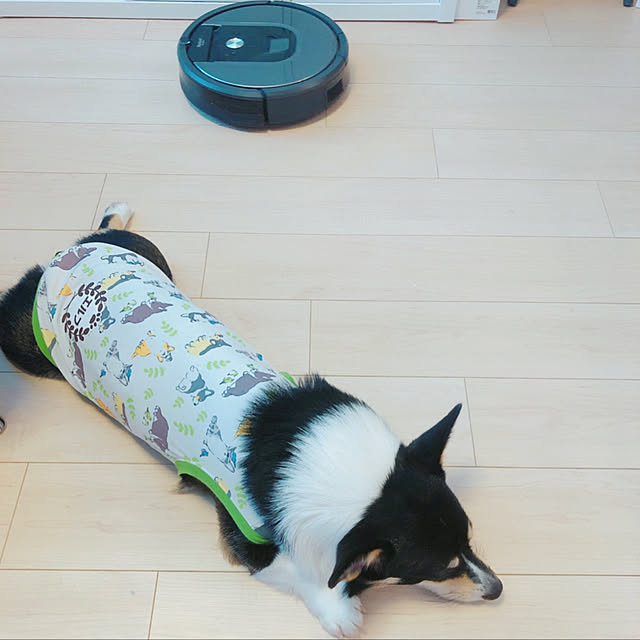 Ruiさんの実例写真