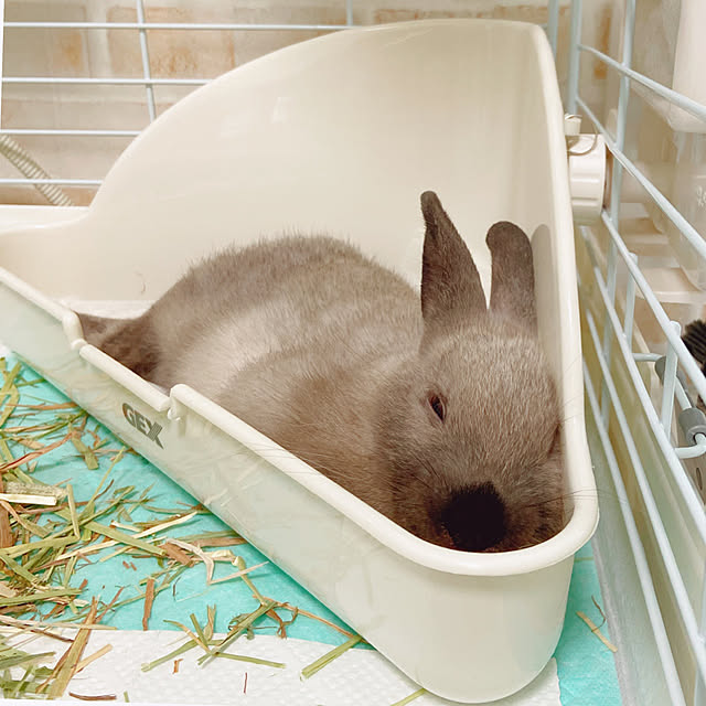 fumofumoさんの実例写真