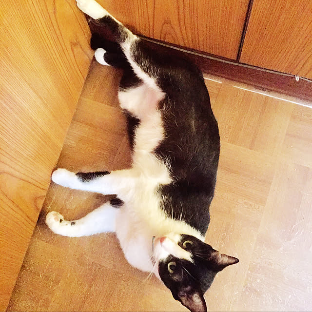 brbrnknkさんの実例写真