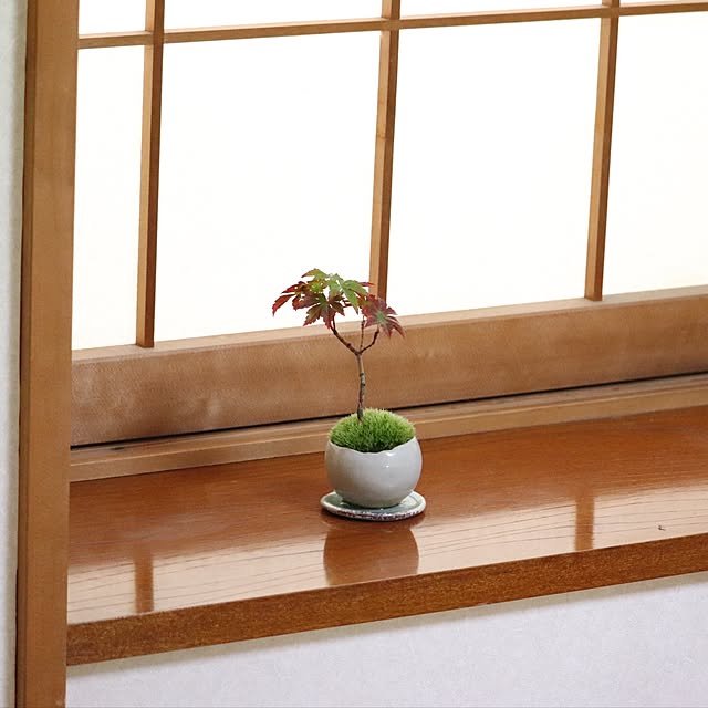kyasamaruoさんの実例写真