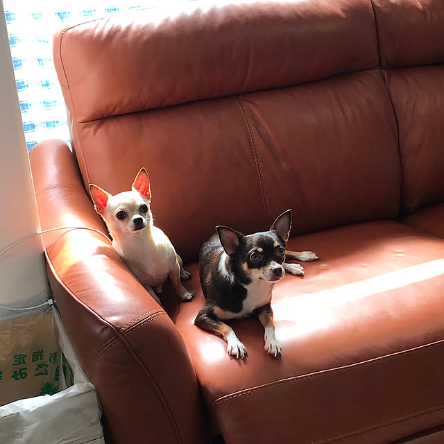 nacchintunnさんの実例写真