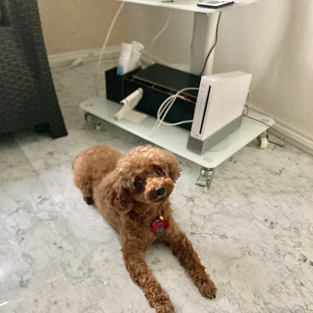 MOMOMAMAさんの実例写真