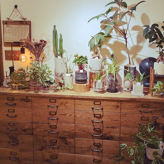 milkyさんの実例写真