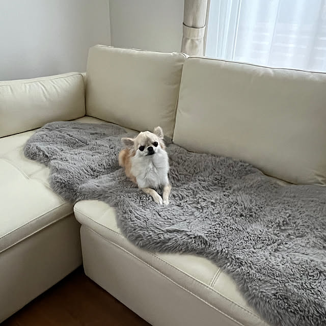 acoさんの部屋