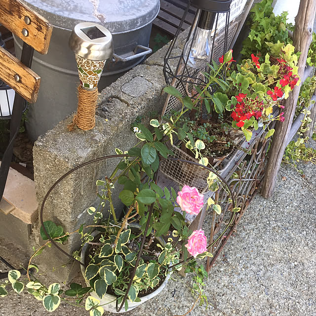 mikimikiさんの実例写真