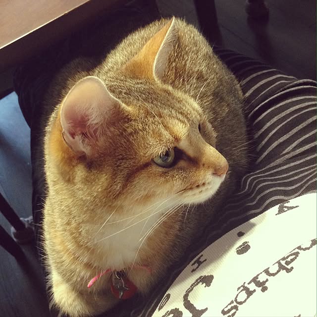 1633さんの実例写真