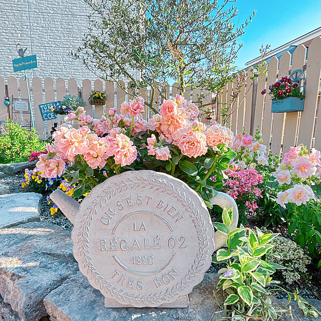 moolさんの実例写真