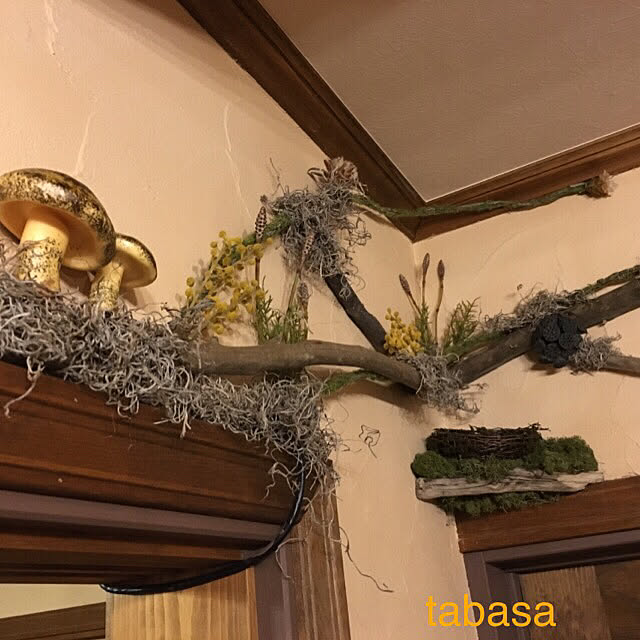 tabasaさんの実例写真