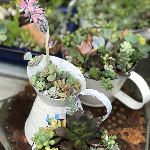 **yuu**さんの実例写真