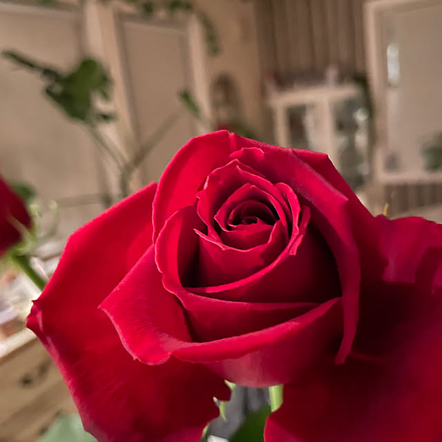 Andaluciaさんの部屋