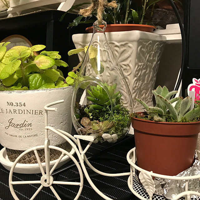 fuuさんの実例写真