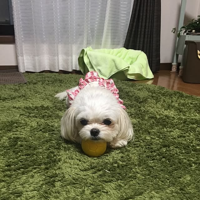 moco.nさんの実例写真