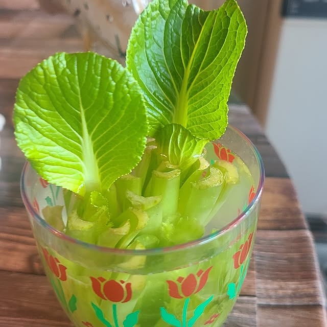 monnさんの部屋