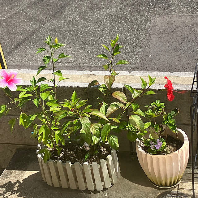 katuさんの部屋