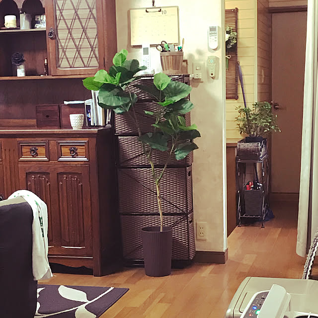saizoさんの実例写真