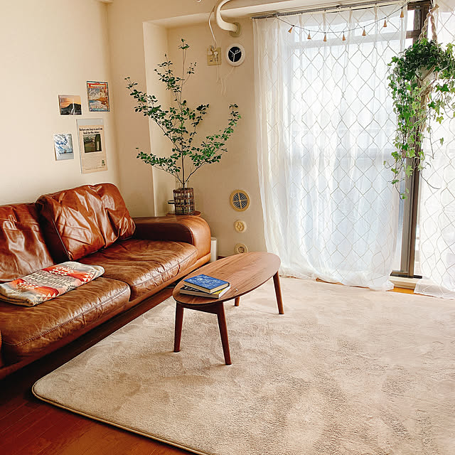 部屋全体/観葉植物/無印良品のインテリア実例 - 2024-05-26 13:22:14