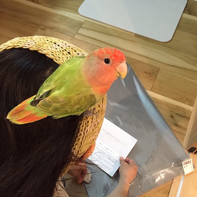 stratomanさんの実例写真