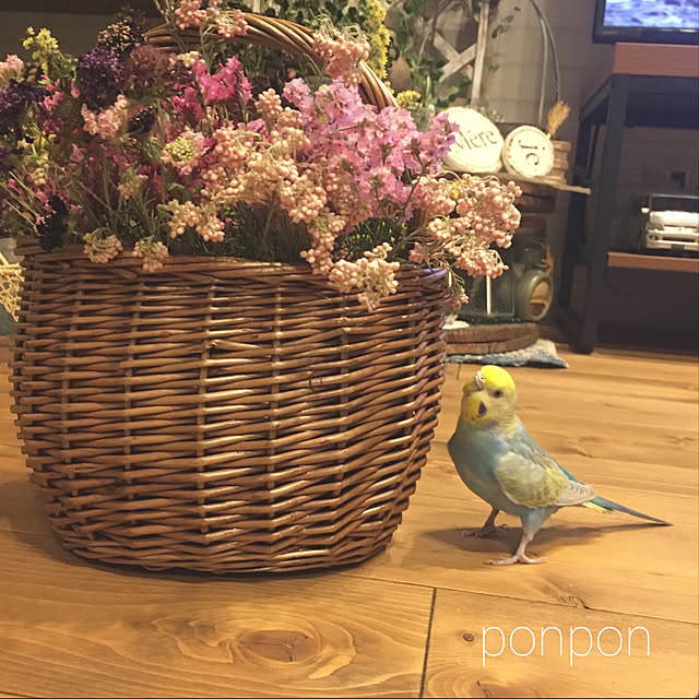 ponponHOUSEさんの実例写真