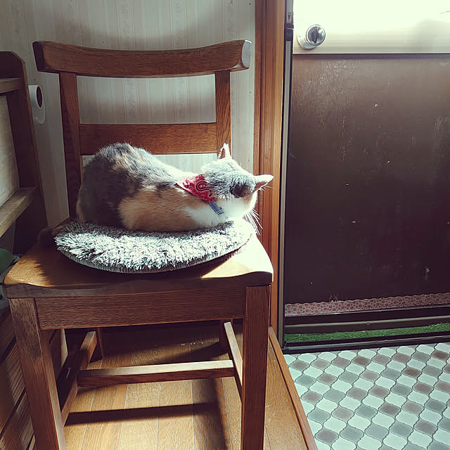 fukuさんの実例写真
