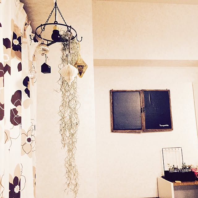 asameikuさんの実例写真