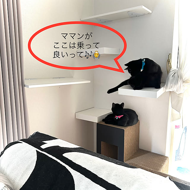 mi-miさんの部屋