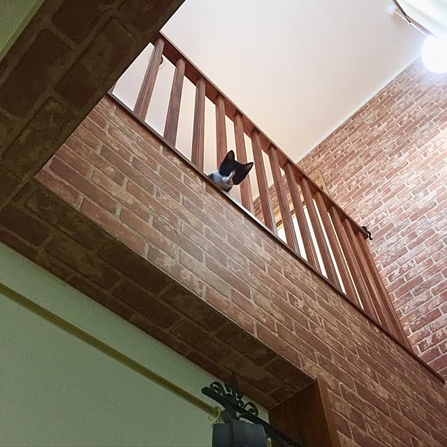 butachanさんの実例写真