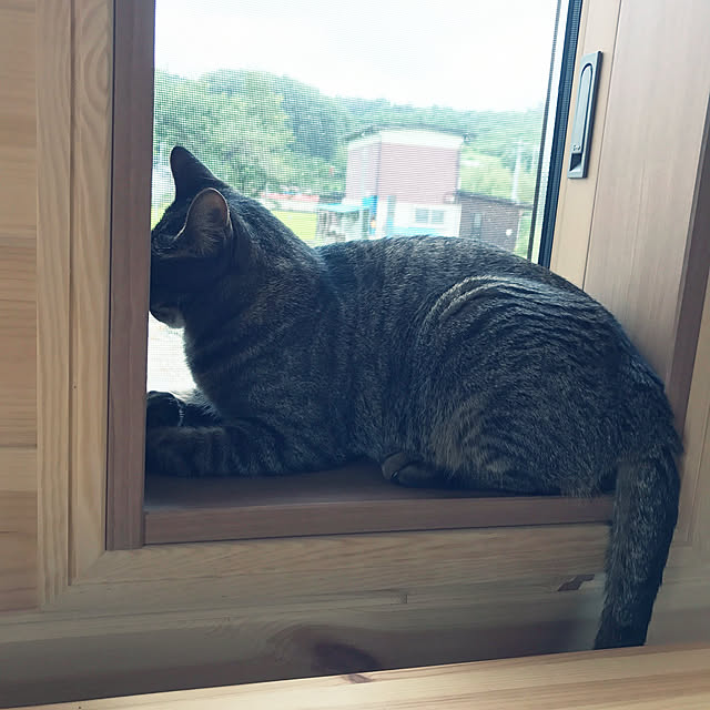 tomomiさんの実例写真