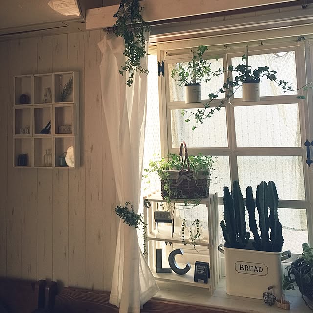 RURULOVEさんの実例写真