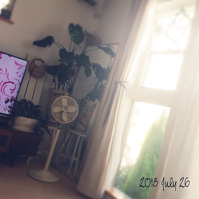 tomoさんの実例写真