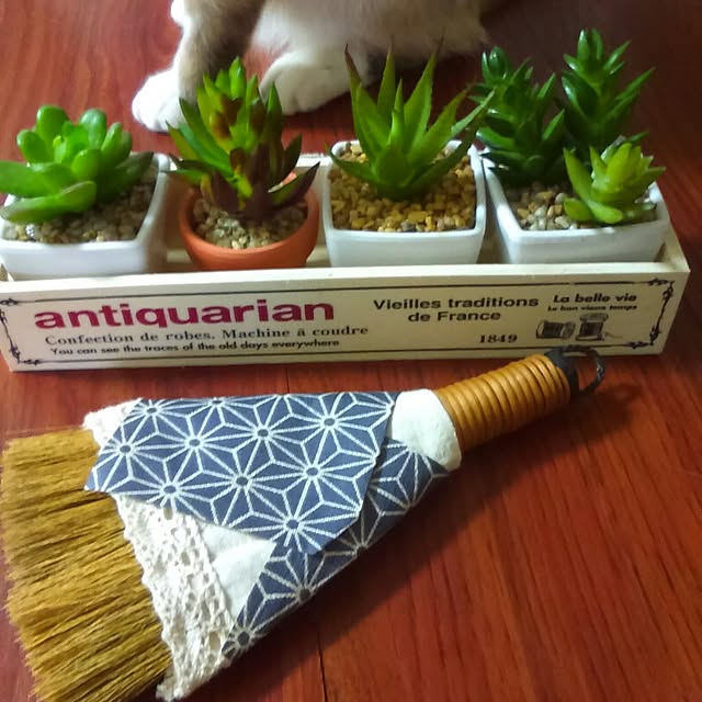 my.cat.michanさんの実例写真
