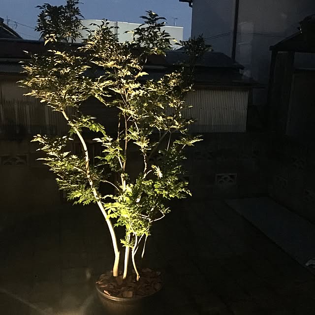 ryoさんの実例写真