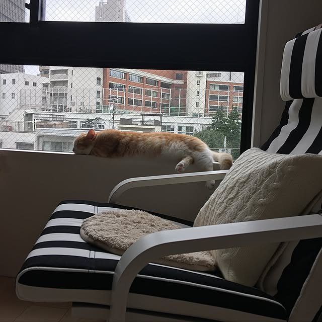 korinkorinさんの実例写真