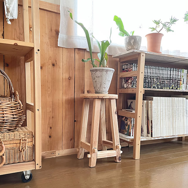 ベッド周り/観葉植物/本棚/趣味部屋/DIY...などのインテリア実例 - 2023-09-21 06:56:18