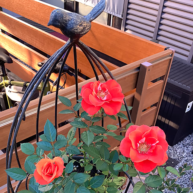 haruminさんの部屋