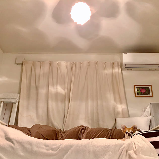 coconutさんの実例写真