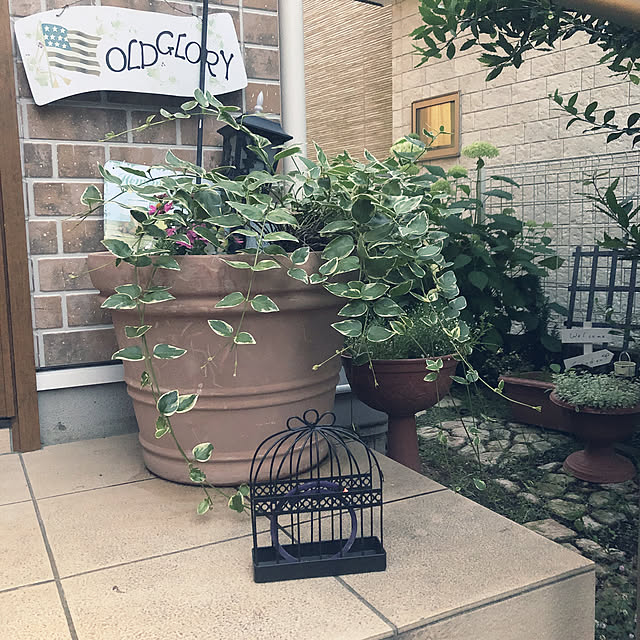 pikarunさんの実例写真