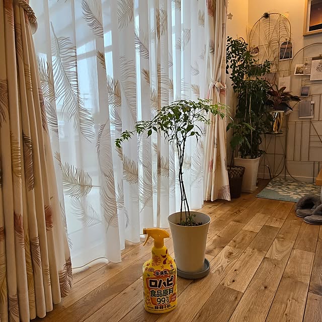 nonbiri_house_さんの部屋