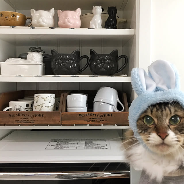 yuchiさんの実例写真